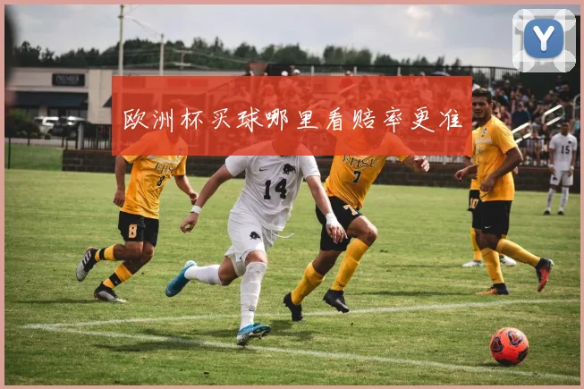 欧洲杯买球哪里看赔率更准