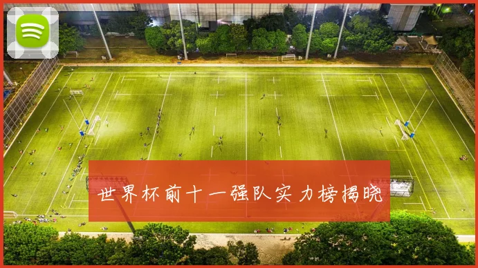 世界杯前十一强队实力榜揭晓
