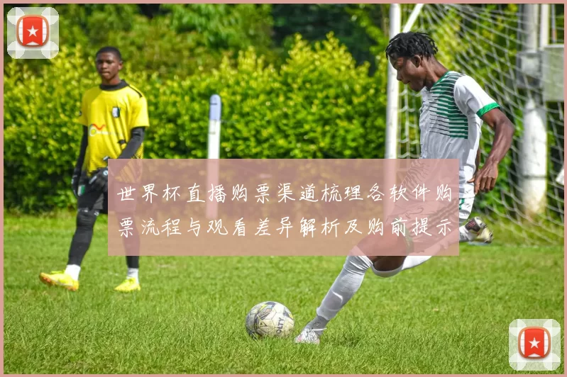 世界杯直播购票渠道梳理各软件购票流程与观看差异解析及购前提示