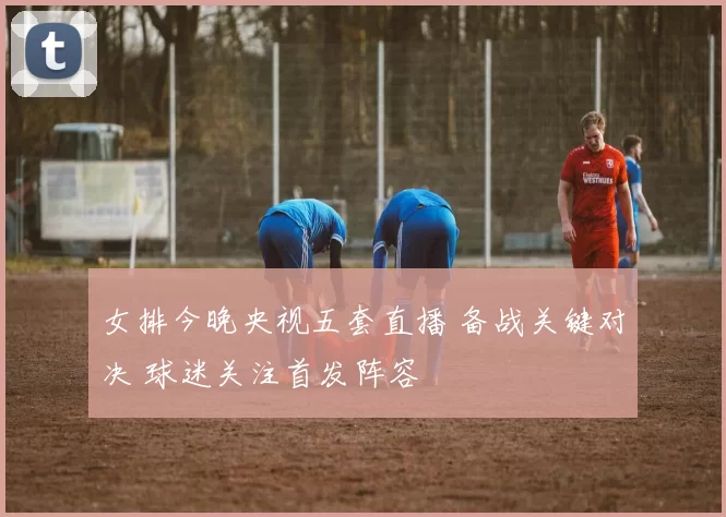 女排今晚央视五套直播 备战关键对决 球迷关注首发阵容