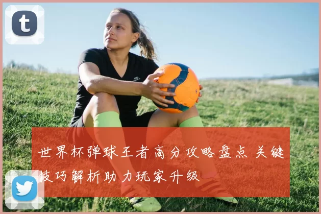 世界杯弹球王者高分攻略盘点 关键技巧解析助力玩家升级
